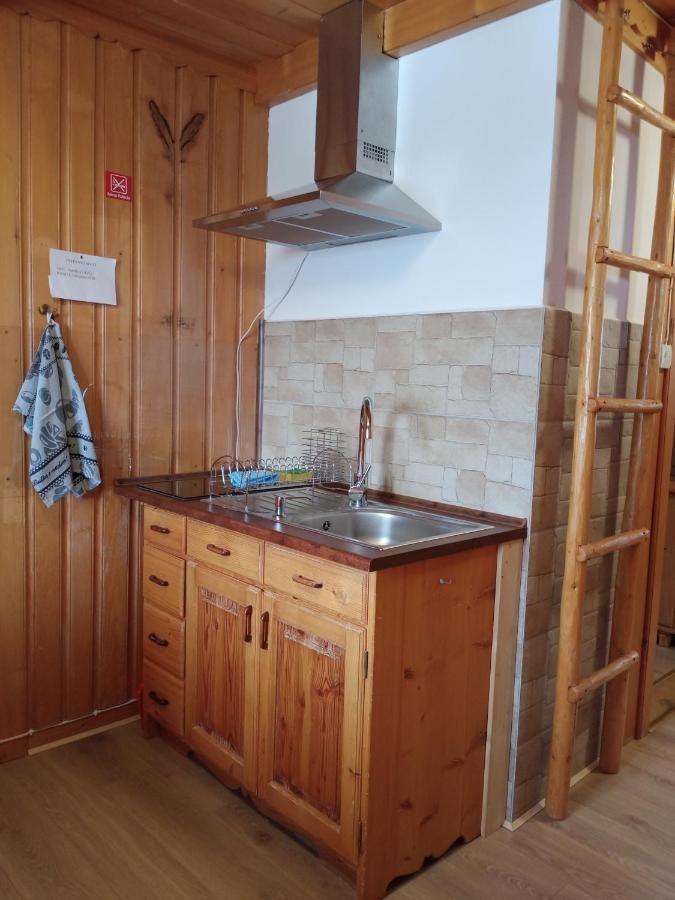 Apartament Rojka 扎科帕内 外观 照片