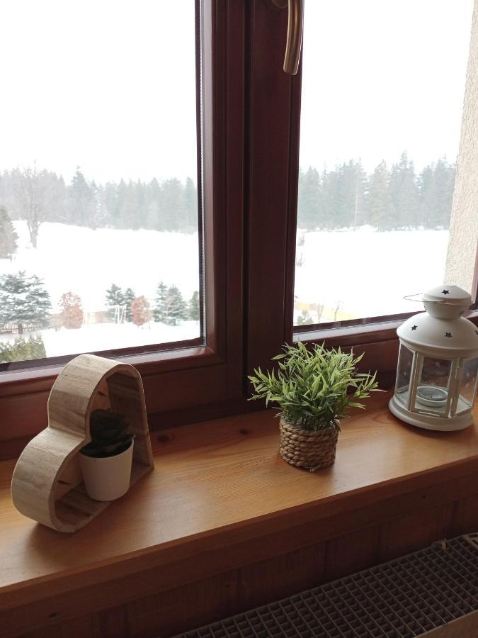 Apartament Rojka 扎科帕内 外观 照片