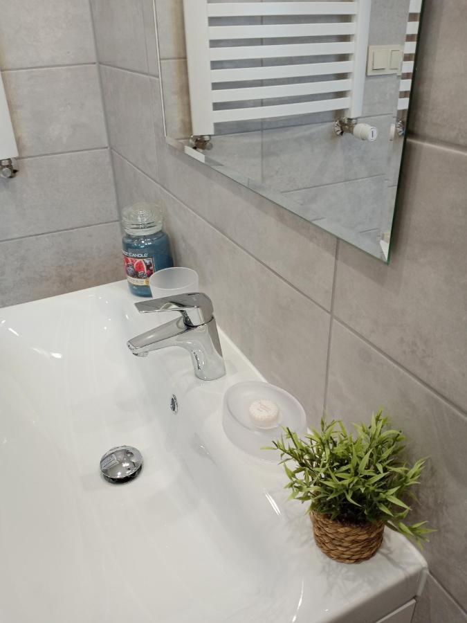 Apartament Rojka 扎科帕内 外观 照片