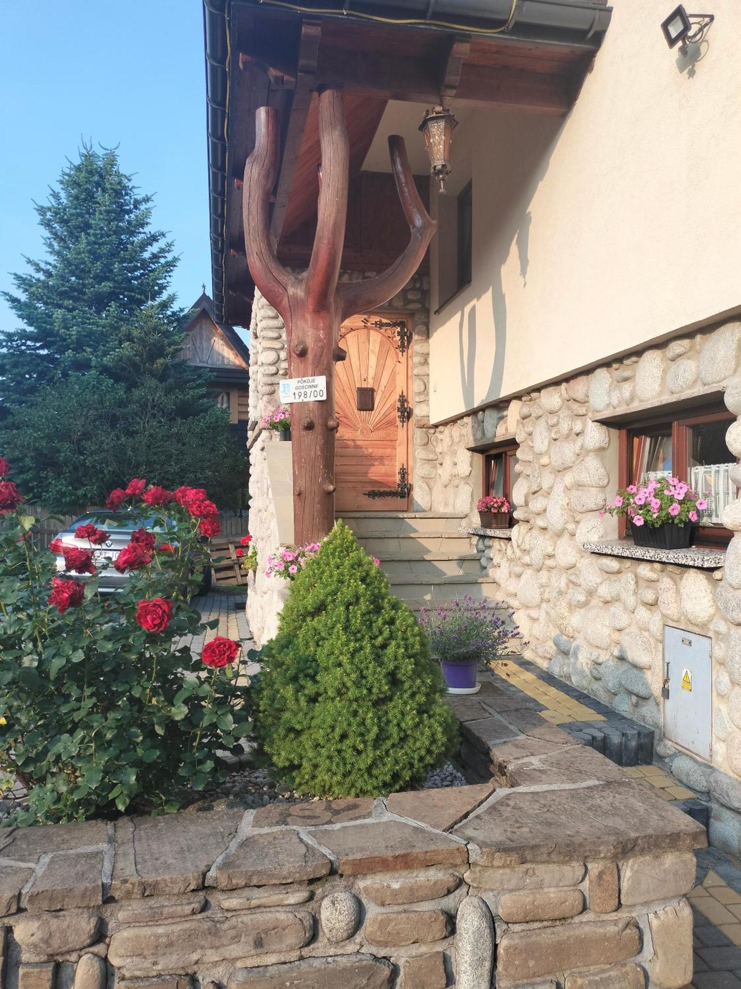 Apartament Rojka 扎科帕内 外观 照片